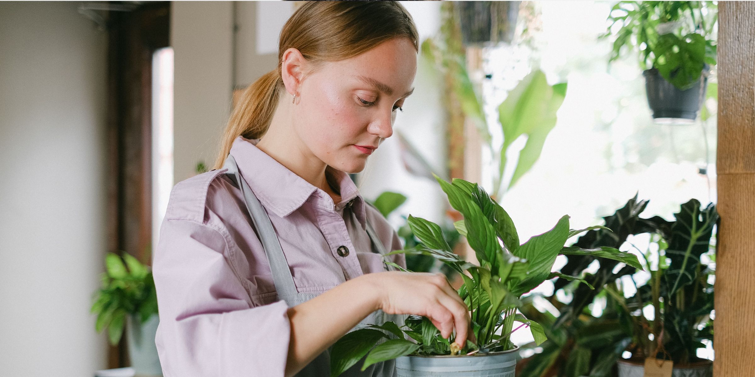 Woman tending to an indoor plant | Source: Pexels