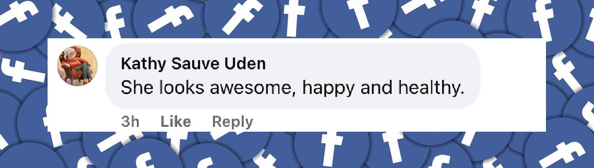 A netizen's comment on Melissa McCarthy's Golden Globe ensemble, posted on January 6, 2025