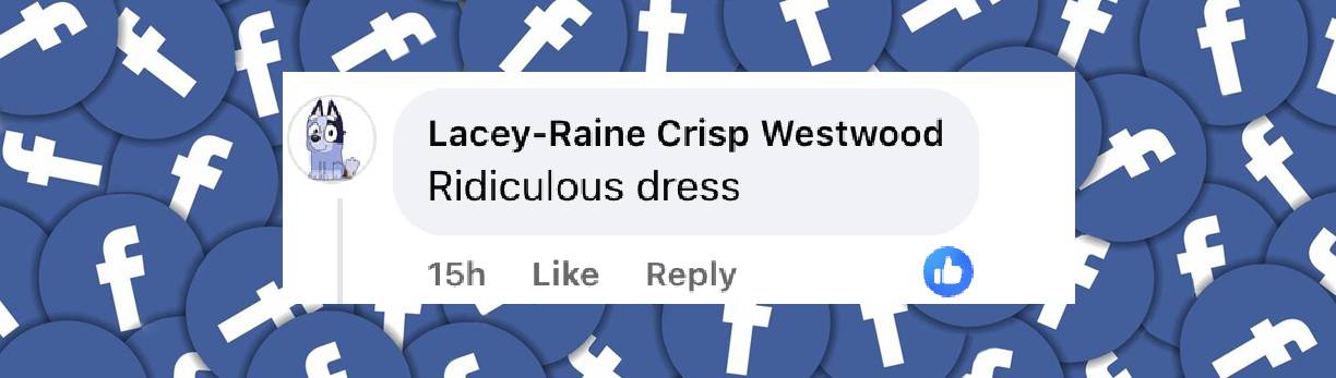 A netizen's comment about Melissa McCarthy's Golden Globe outfit, posted on January 6, 2025