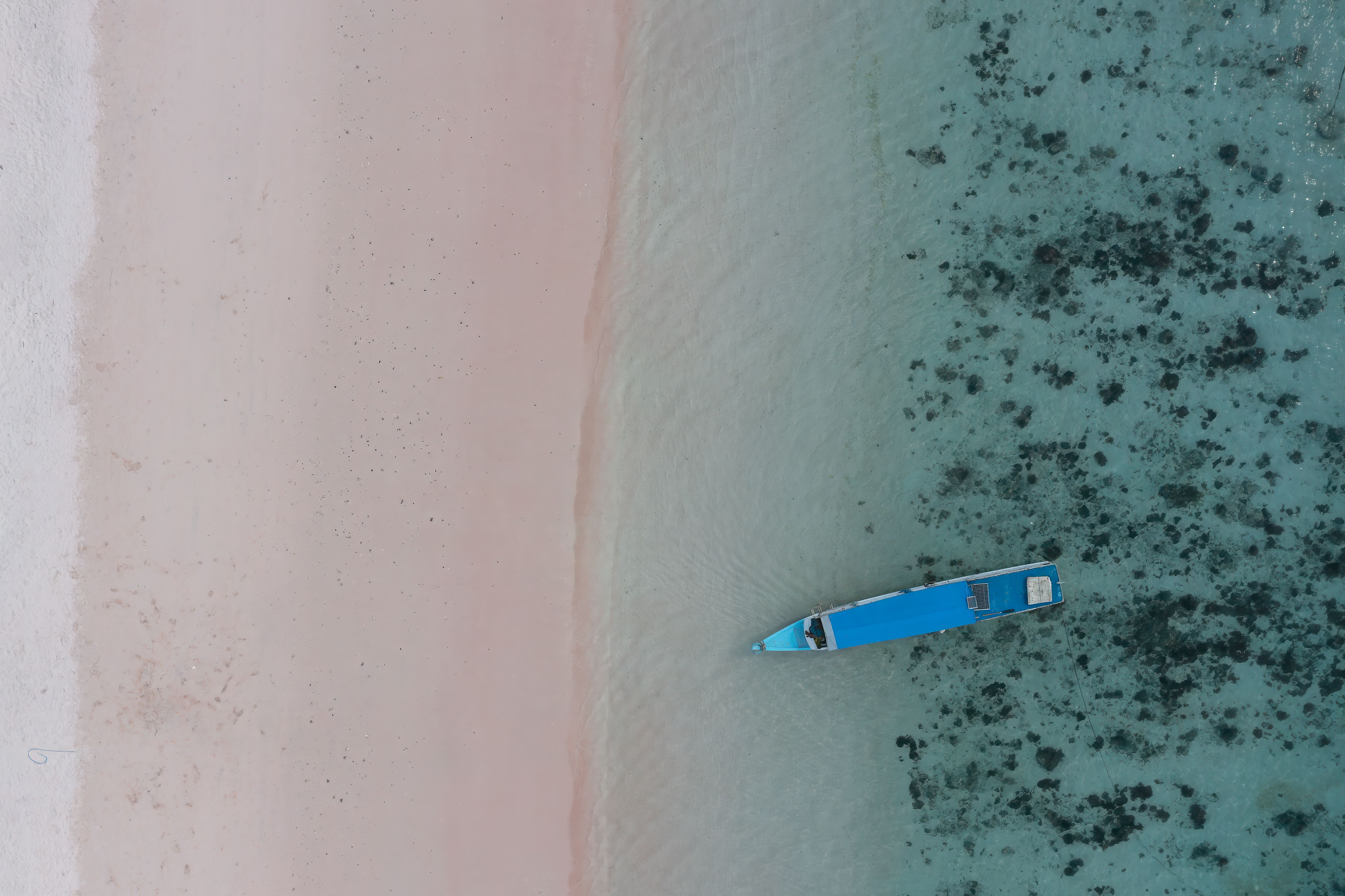 An aerial view of a blue boat in shallow water beside a strip of pink sand. | Source: Pexels