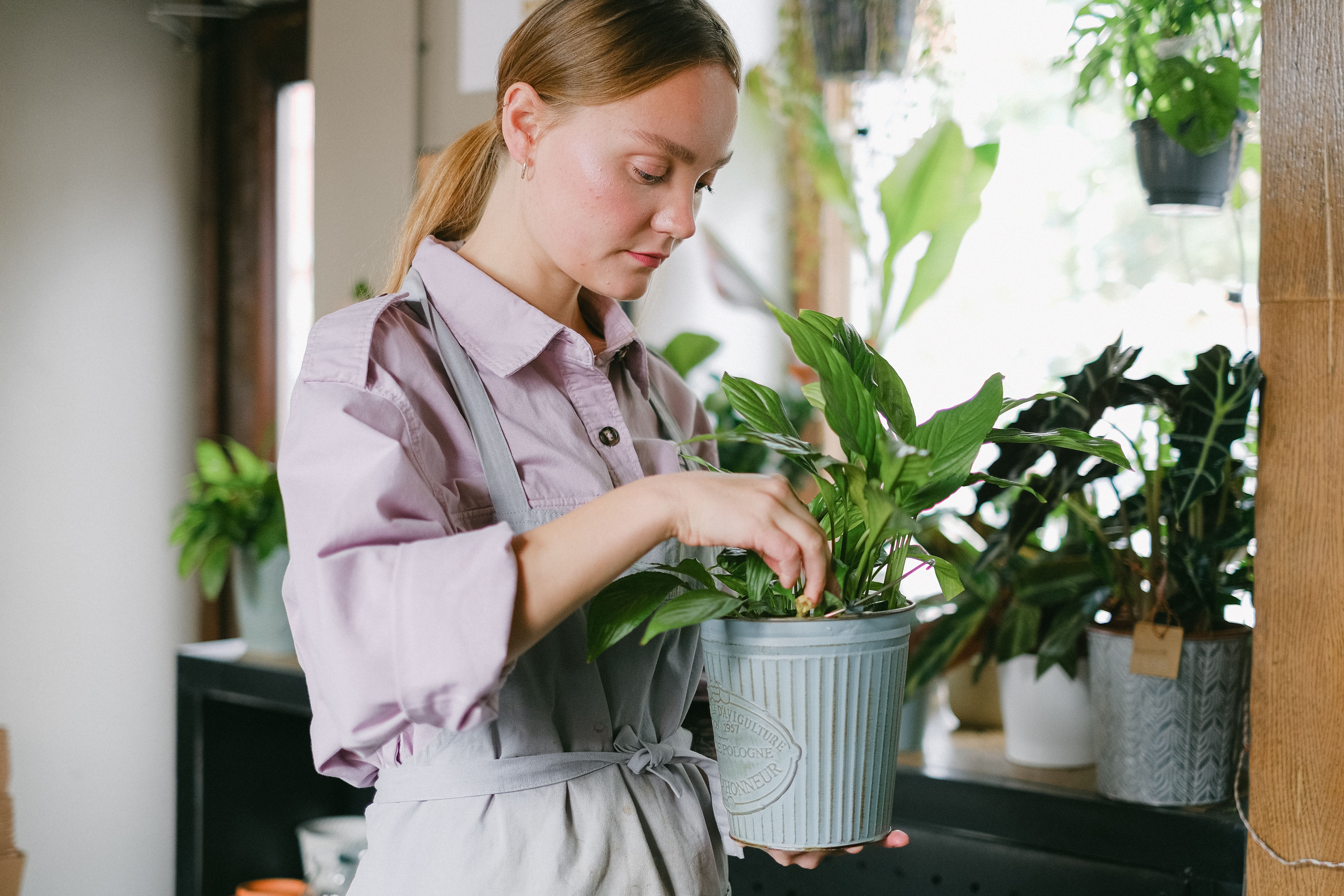 Woman tending to an indoor plant | Source: Pexels