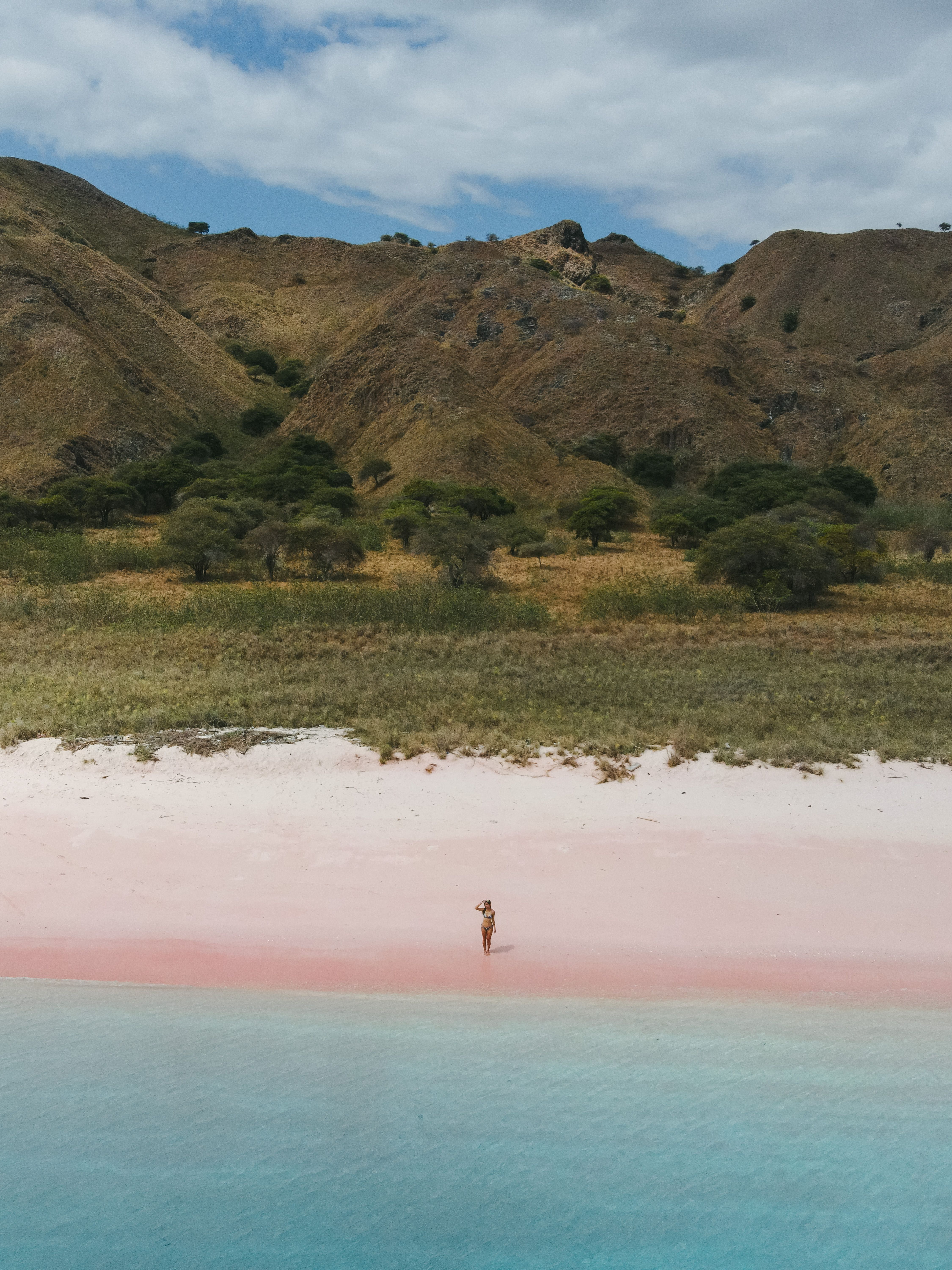 A person stands on a pink sand beach in front of grass-covered hills. | Source: Pexels
