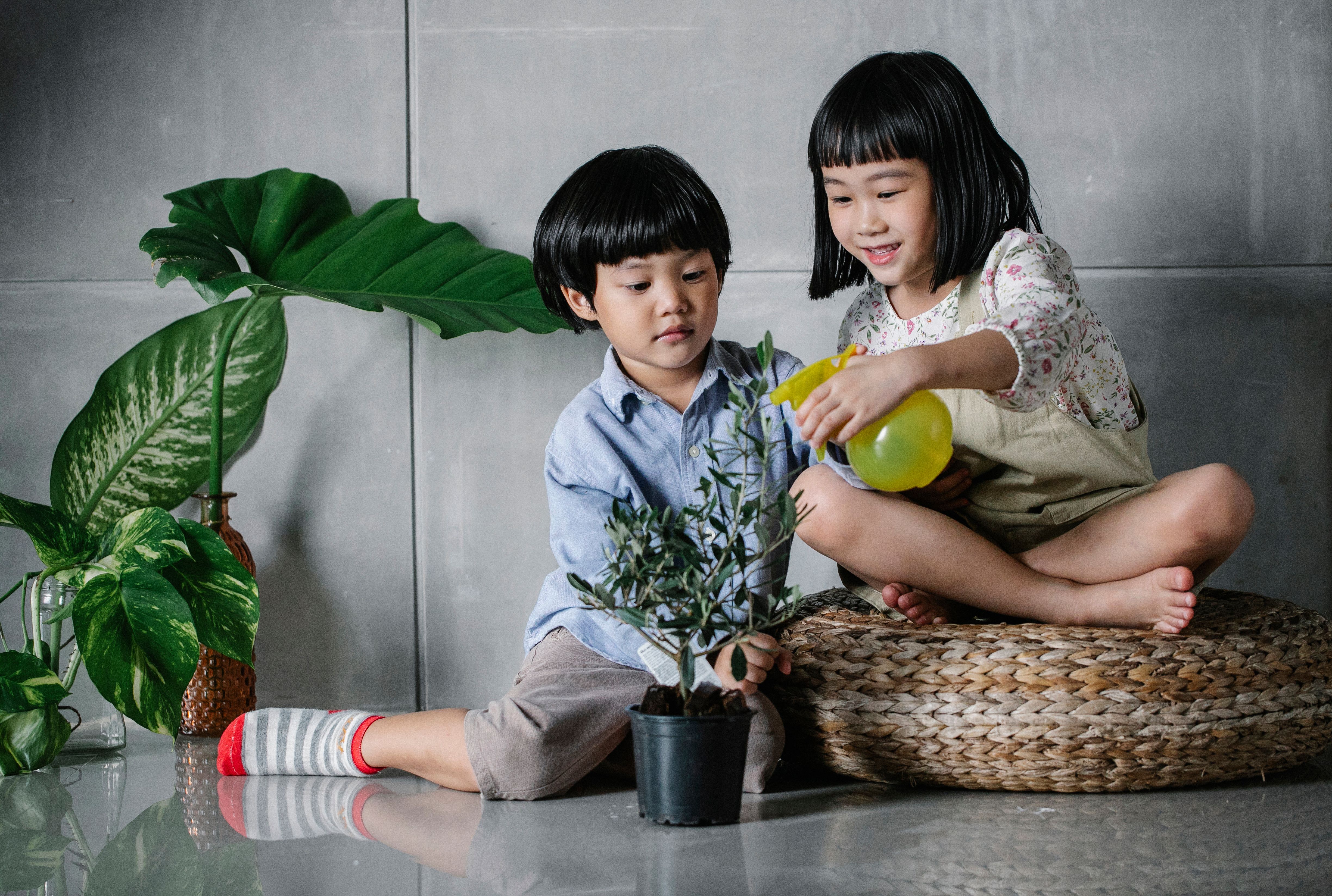Children wtering a plant | Source: Pexels